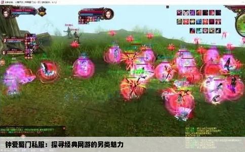钟爱蜀门私服：探寻经典网游的另类魅力