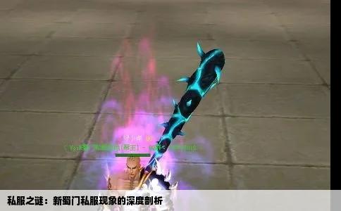私服之谜：新蜀门私服现象的深度剖析