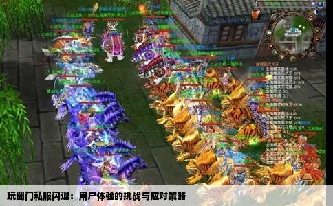 玩蜀门私服闪退：用户体验的挑战与应对策略