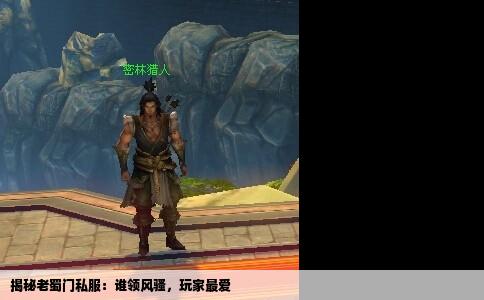 揭秘老蜀门私服：谁领风骚，玩家最爱